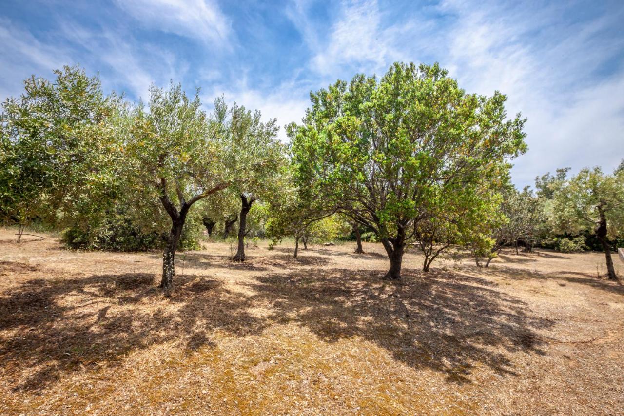 Hidden Gem Sithonia Villa Metochi Agias Kiriakis Eksteriør bilde