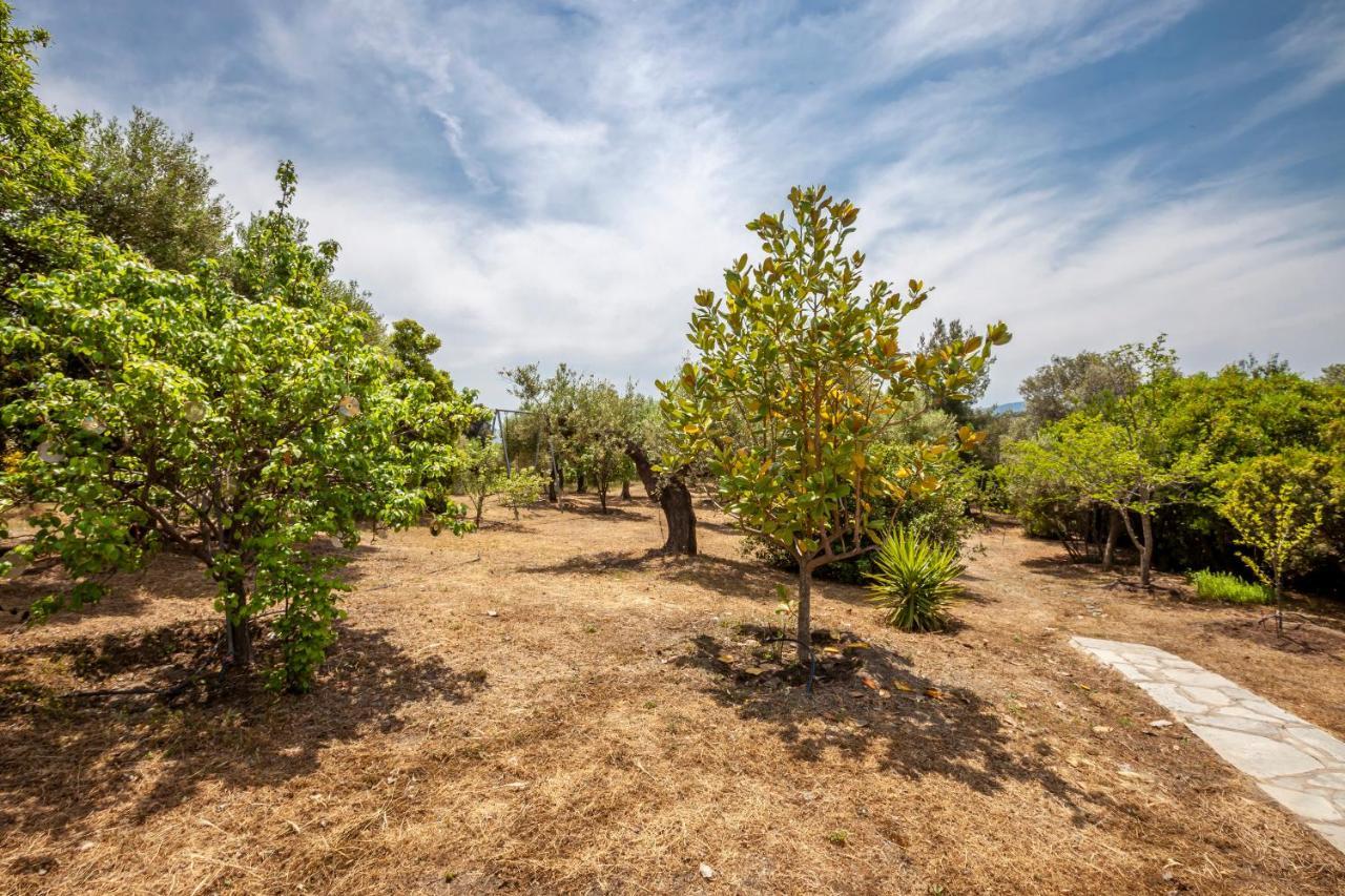 Hidden Gem Sithonia Villa Metochi Agias Kiriakis Eksteriør bilde